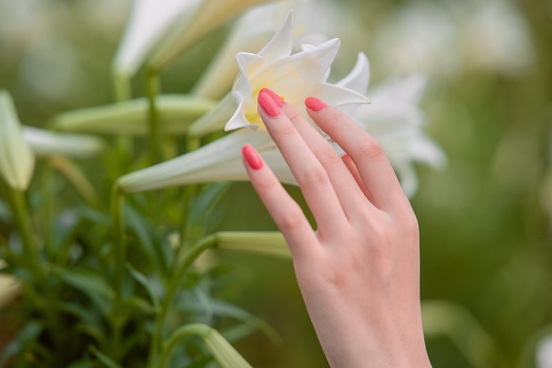 Natural Elegance
