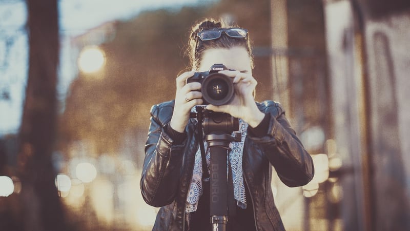 Whimsical Captures
